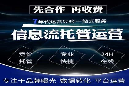 成功SEM服务案例分析报告